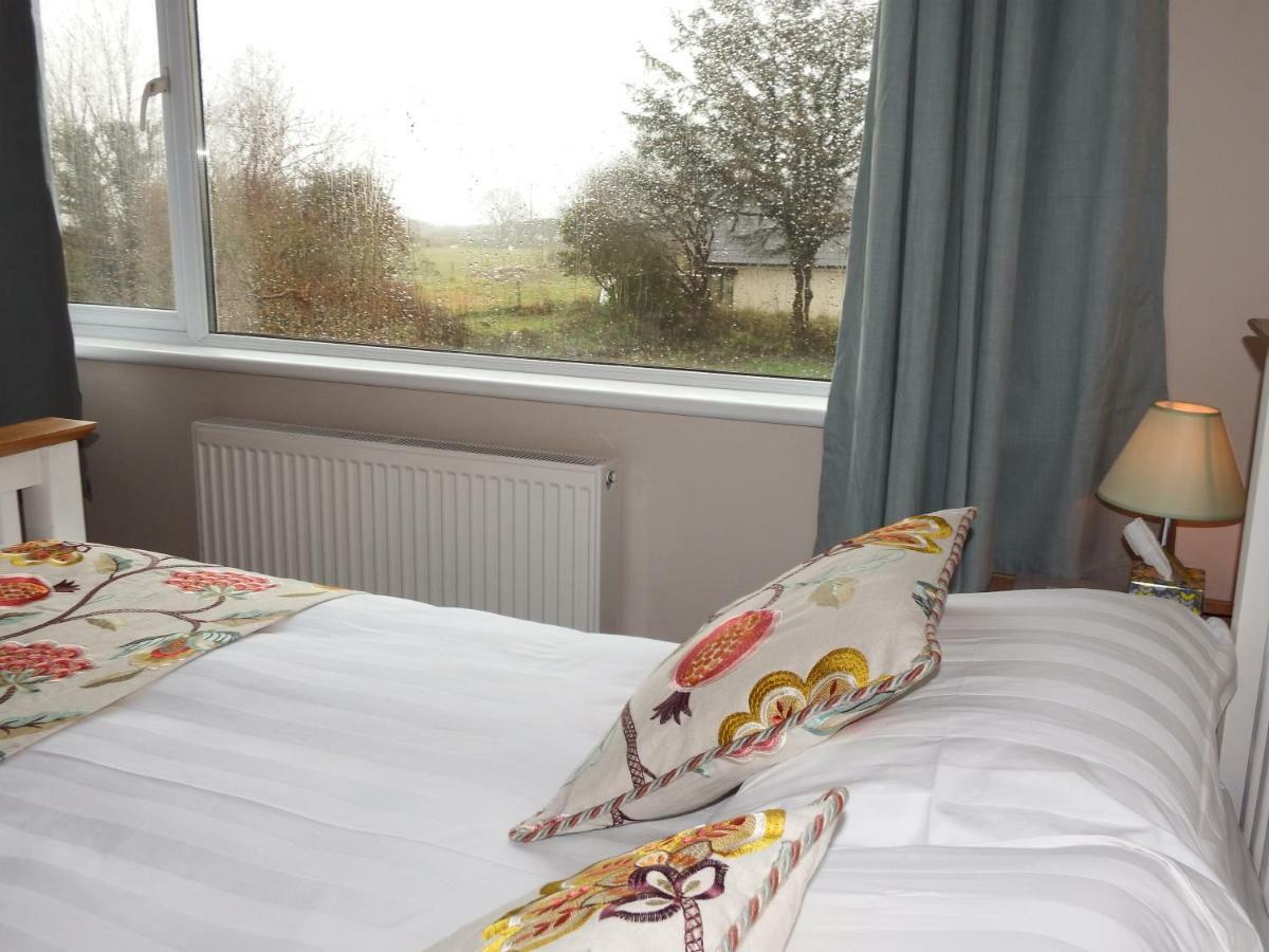Bed and Breakfast Ty Helyg St Davids Exteriér fotografie